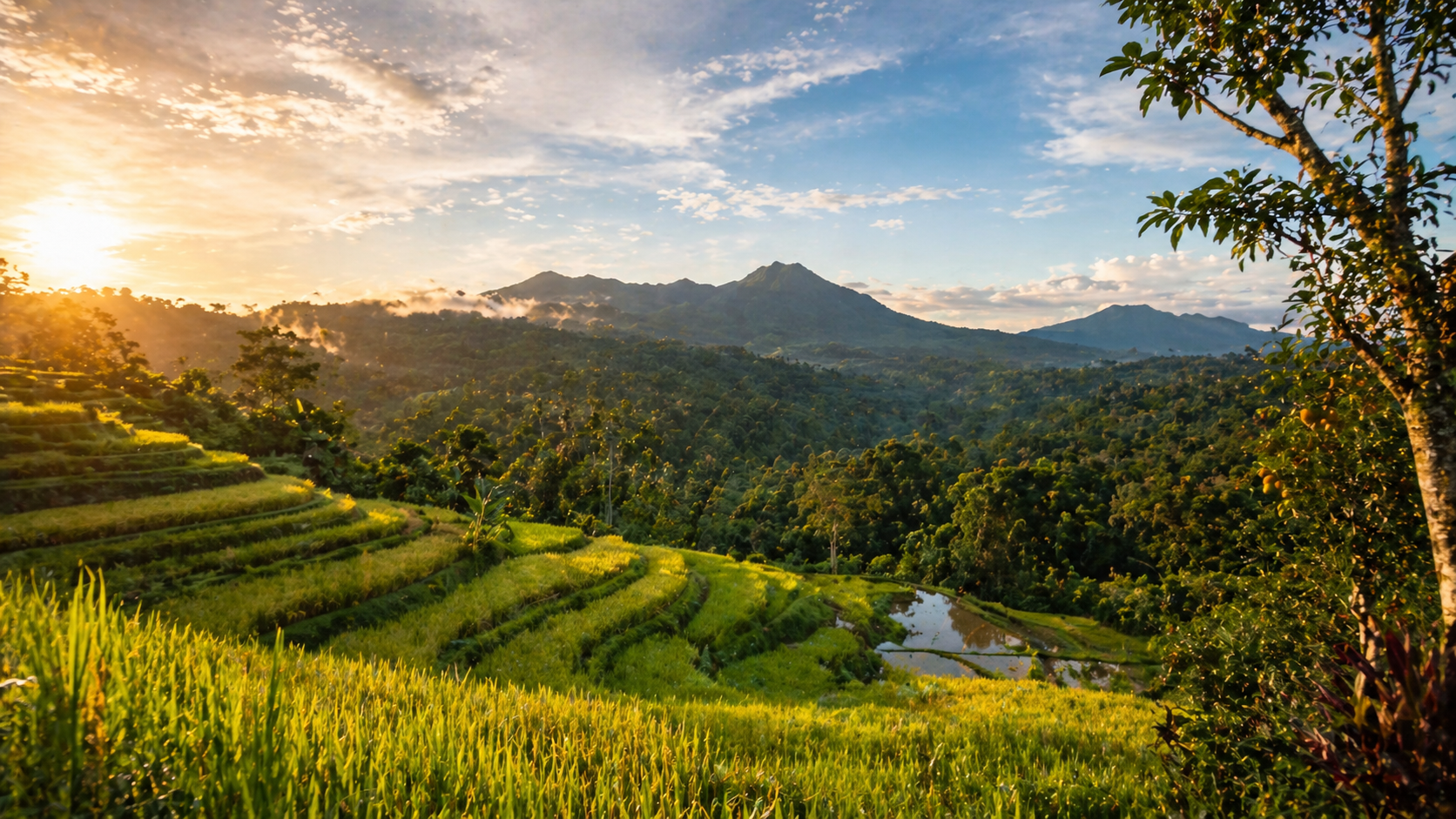 Golden Terraces of Serenity — Photography AI image prompt